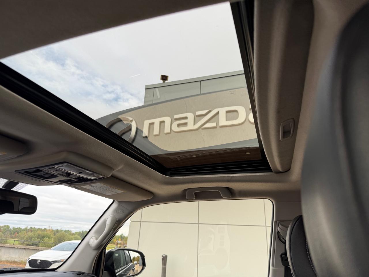 2019 Toyota 4Runner SR5 4dr 4x4 Photo