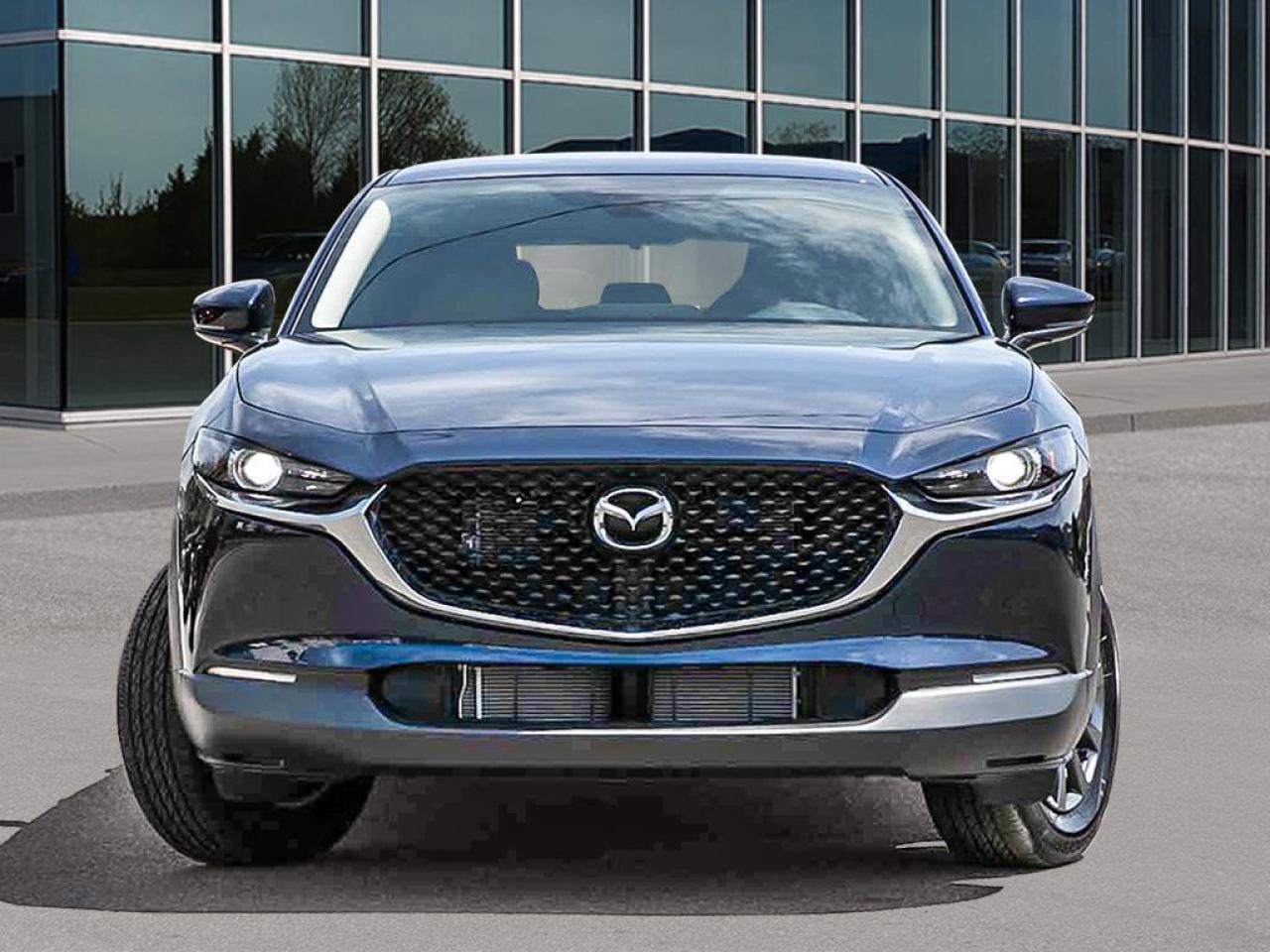 2025 Mazda CX-30 GX 4dr i-ACTIV All-Wheel Drive Sport Utility Photo