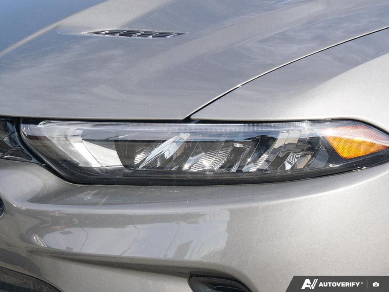 2024 Dodge Hornet PHEV R/T Plus 4dr EAWD Sport Utility Photo