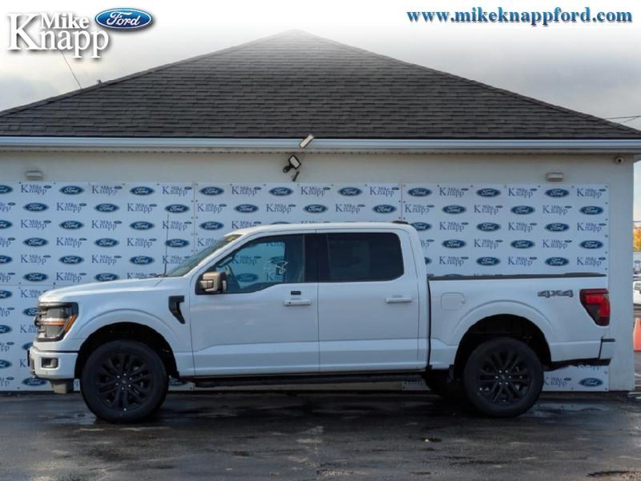 2025 Ford F-150 XLT Photo