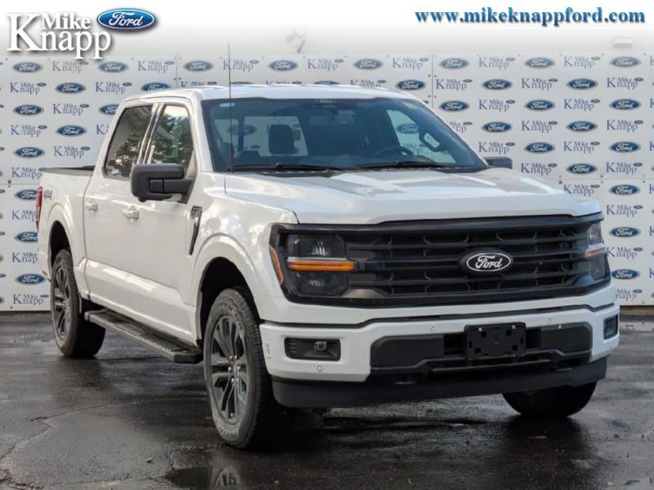 2025 Ford F-150 XLT Photo