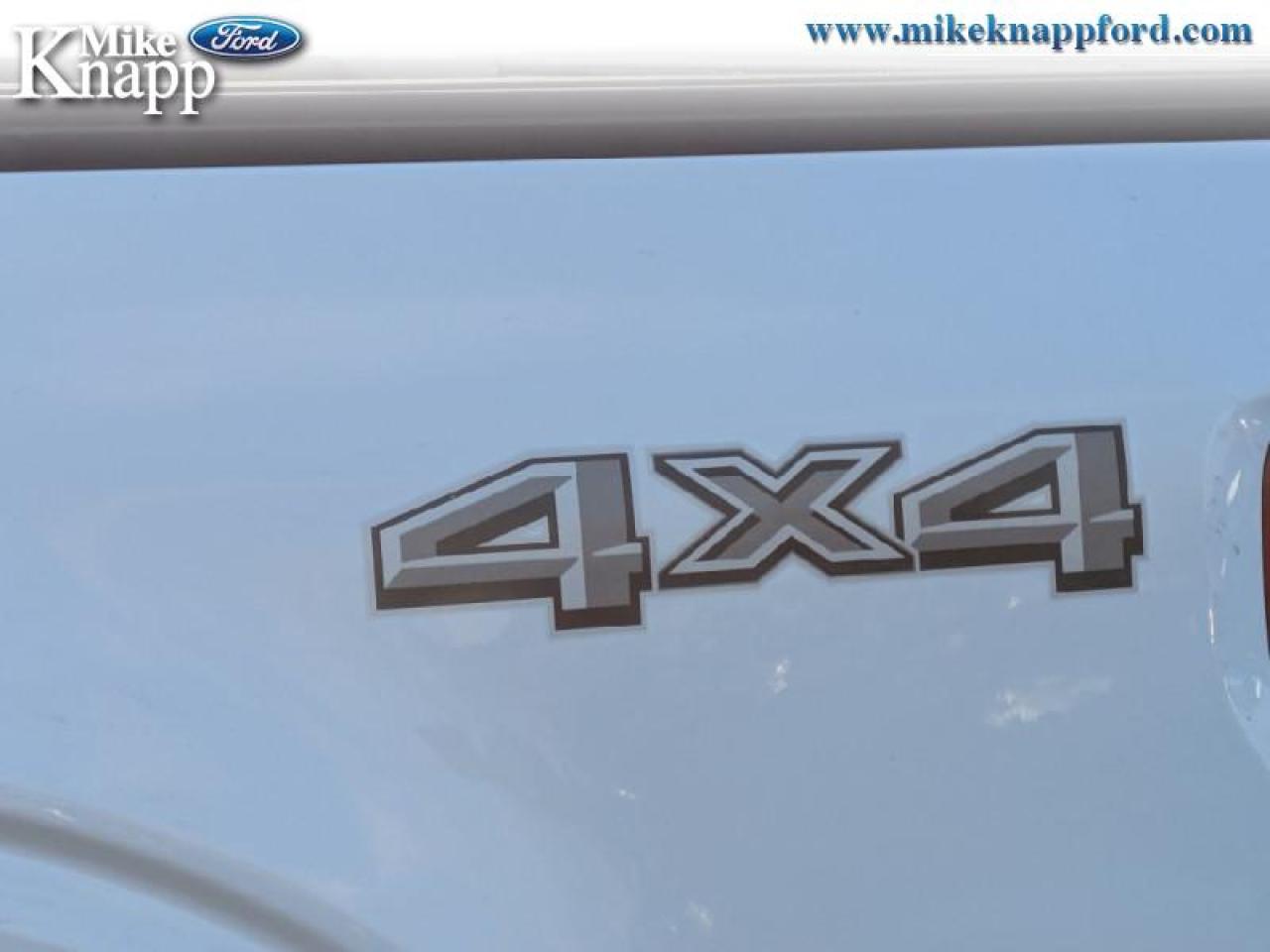 2025 Ford F-150 XLT Photo