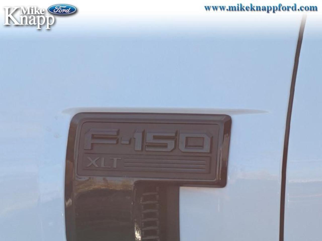 2025 Ford F-150 XLT Photo