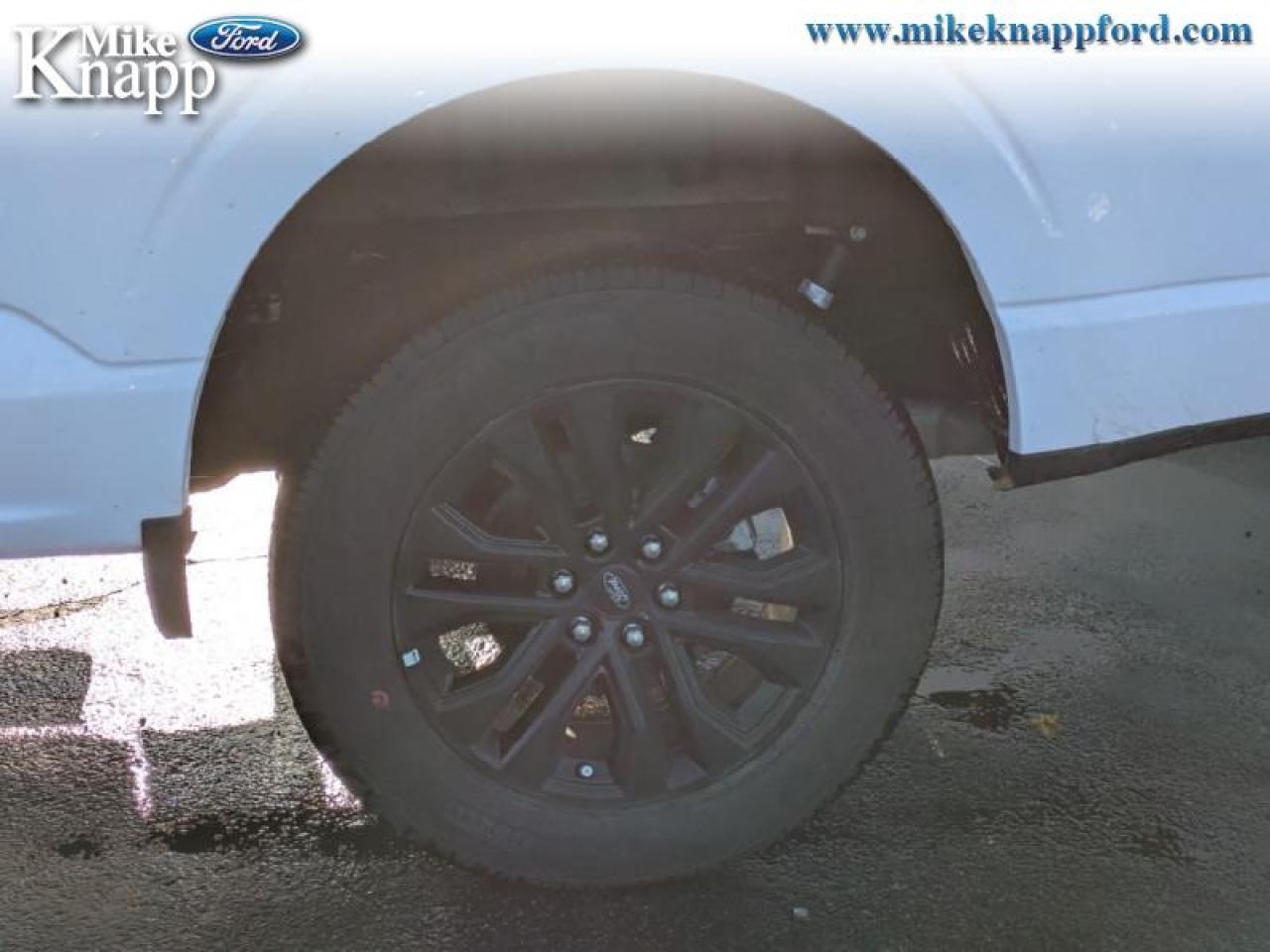 2025 Ford F-150 XLT Photo