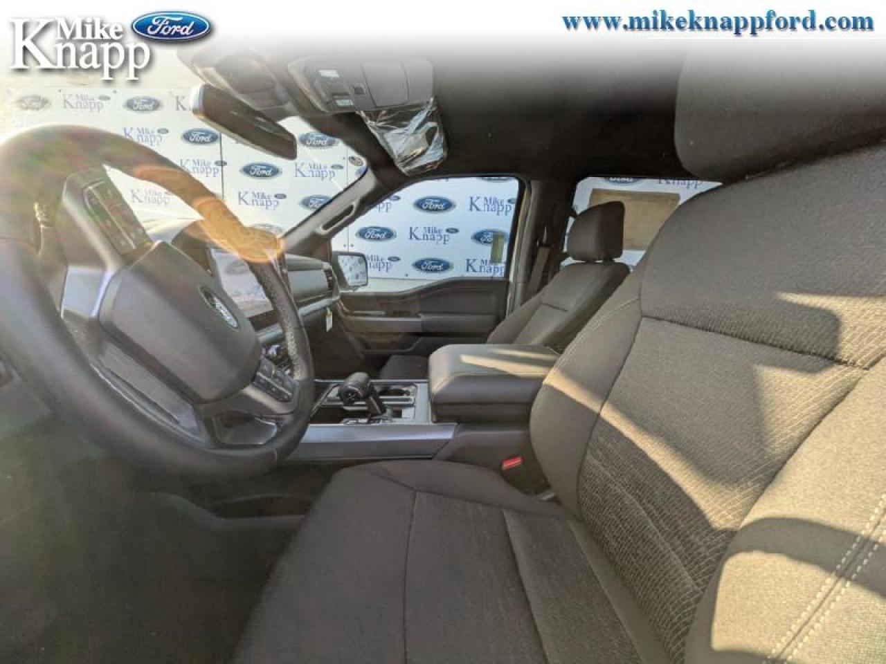 2025 Ford F-150 XLT Photo