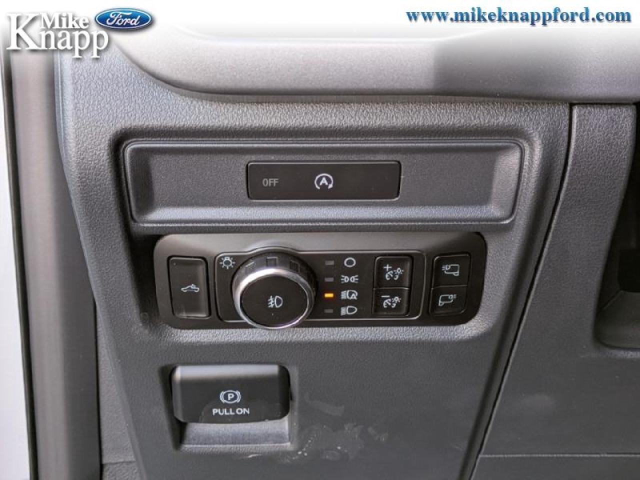 2025 Ford F-150 XLT Photo