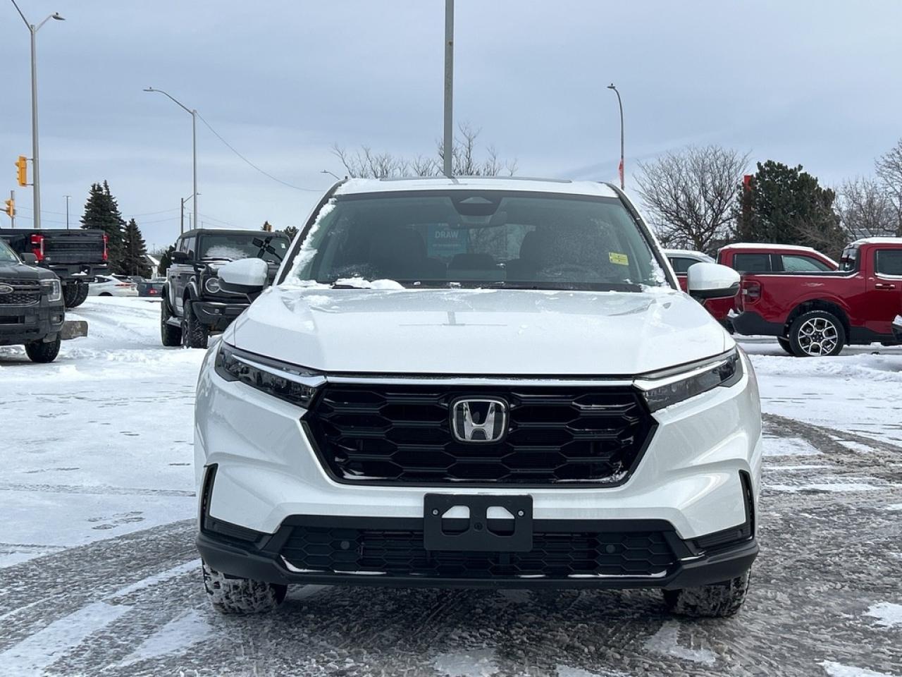 2024 Honda CR-V EX-L 4dr All-wheel Drive Photo