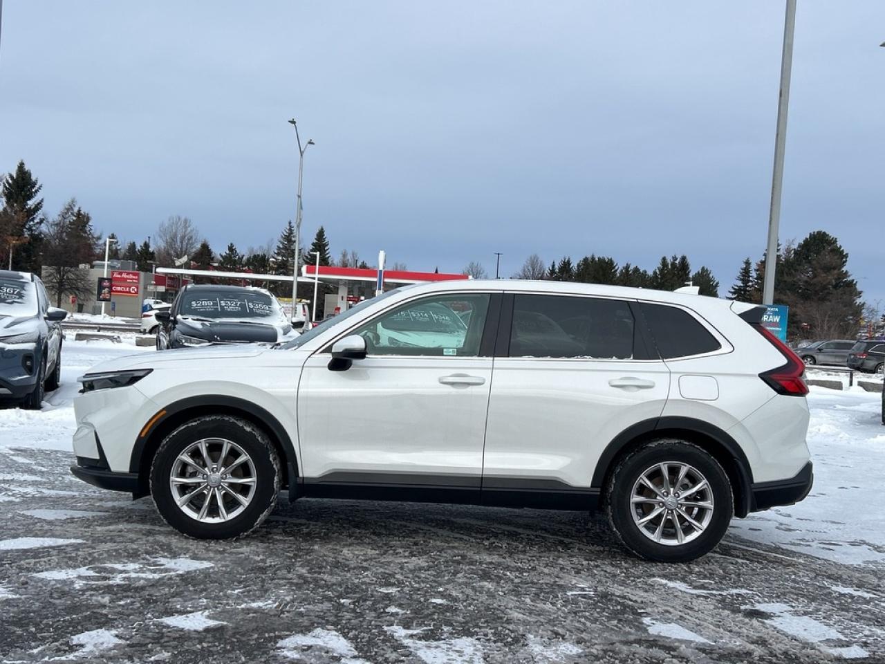 2024 Honda CR-V EX-L 4dr All-wheel Drive Photo