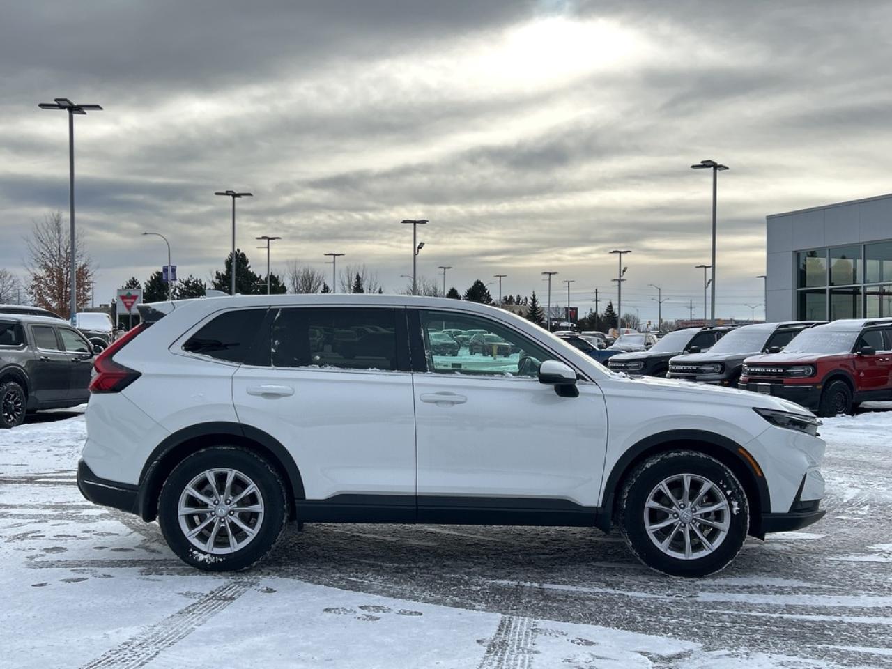 2024 Honda CR-V EX-L 4dr All-wheel Drive Photo