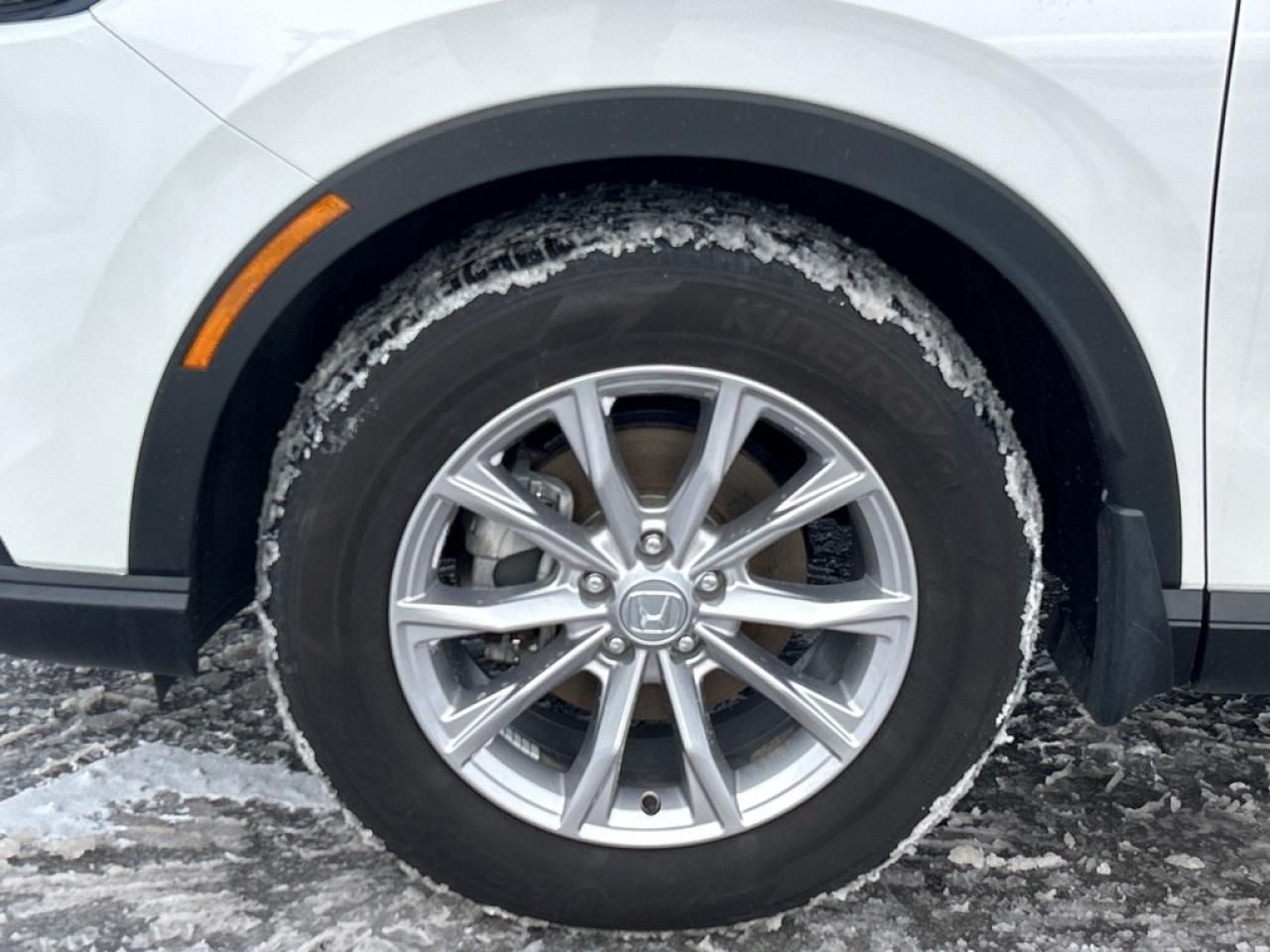 2024 Honda CR-V EX-L 4dr All-wheel Drive Photo