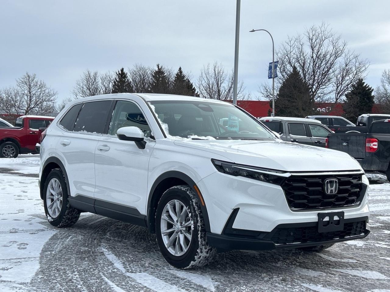 2024 Honda CR-V EX-L 4dr All-wheel Drive Photo