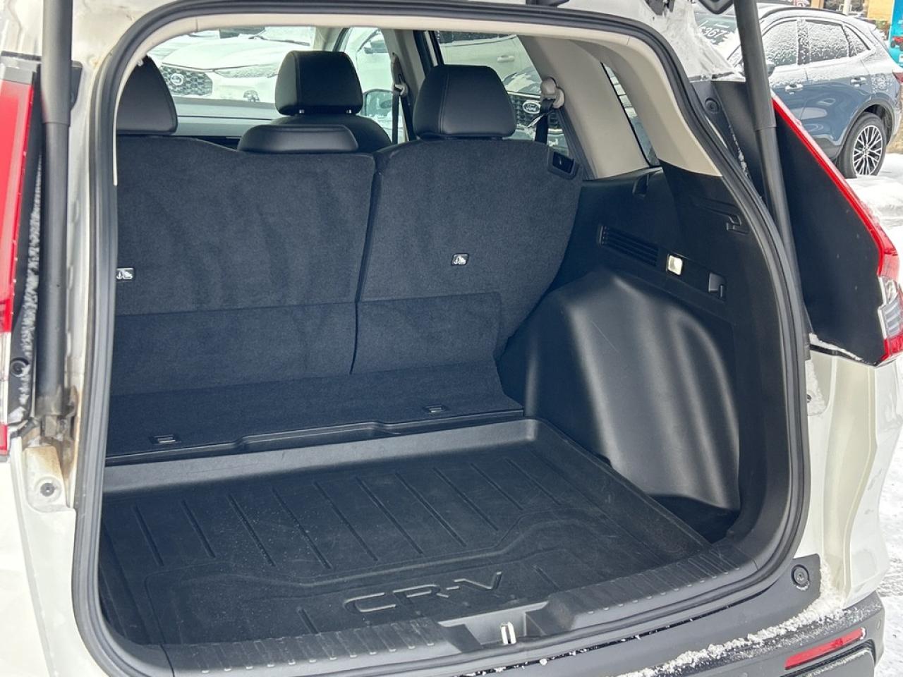 2024 Honda CR-V EX-L 4dr All-wheel Drive Photo