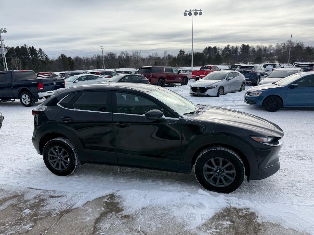 2020 Mazda CX-30 GX 4dr i-ACTIV All-Wheel Drive Sport Utility Photo