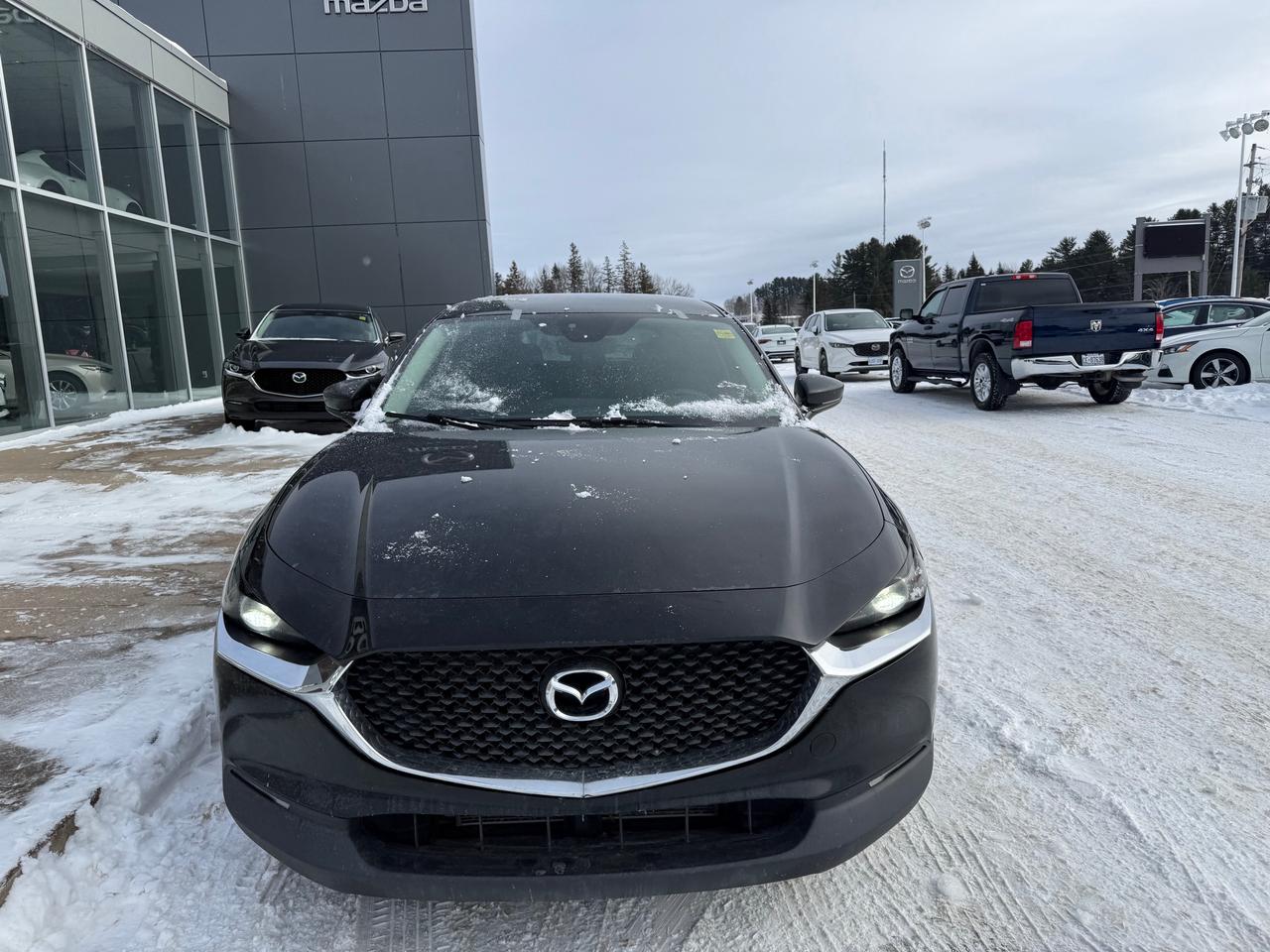 2020 Mazda CX-30 GX 4dr i-ACTIV All-Wheel Drive Sport Utility Photo