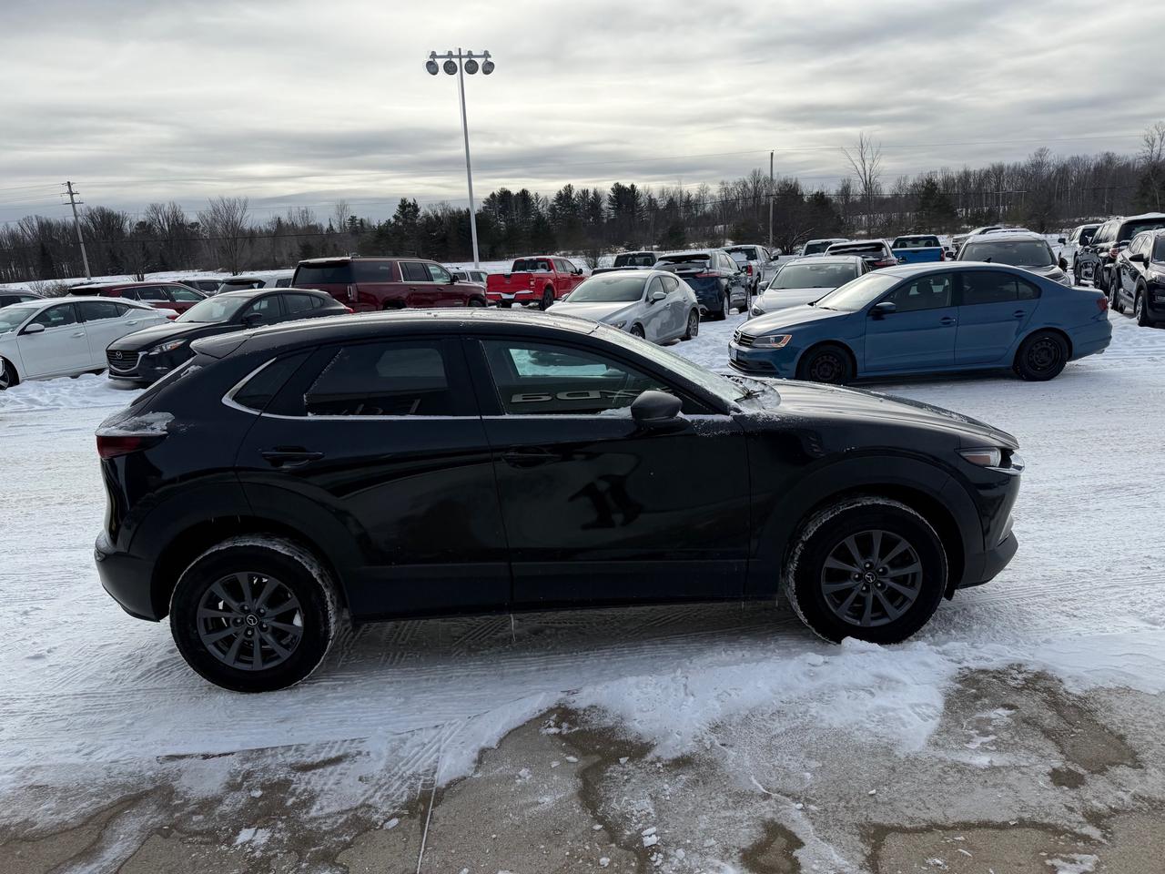 2020 Mazda CX-30 GX 4dr i-ACTIV All-Wheel Drive Sport Utility Photo