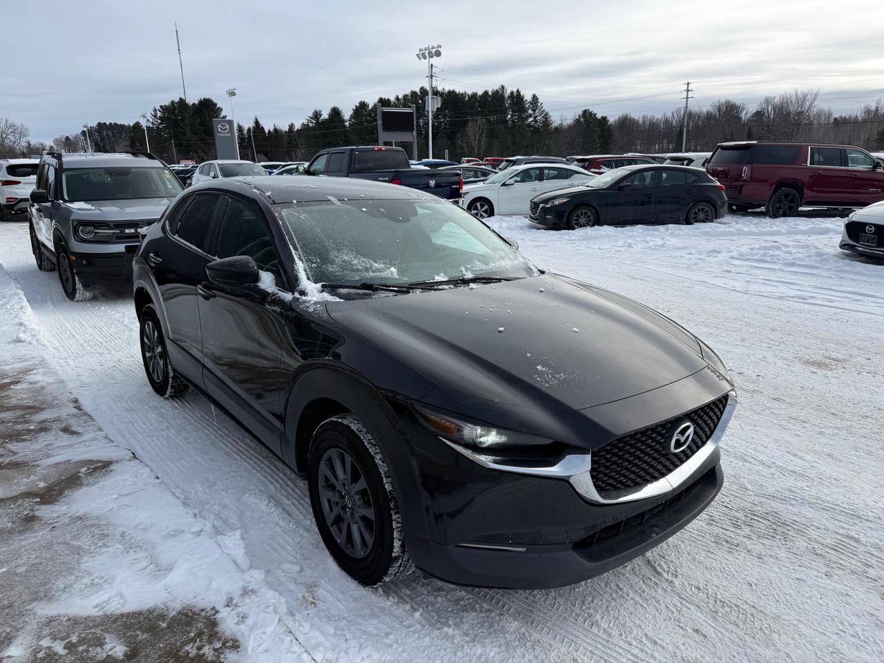 2020 Mazda CX-30 GX 4dr i-ACTIV All-Wheel Drive Sport Utility Photo