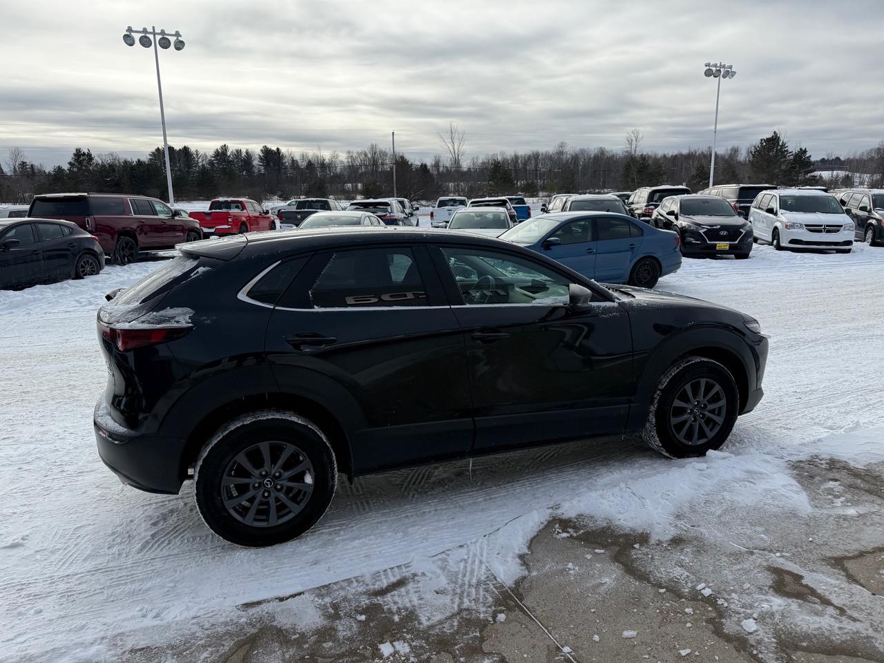 2020 Mazda CX-30 GX 4dr i-ACTIV All-Wheel Drive Sport Utility Photo
