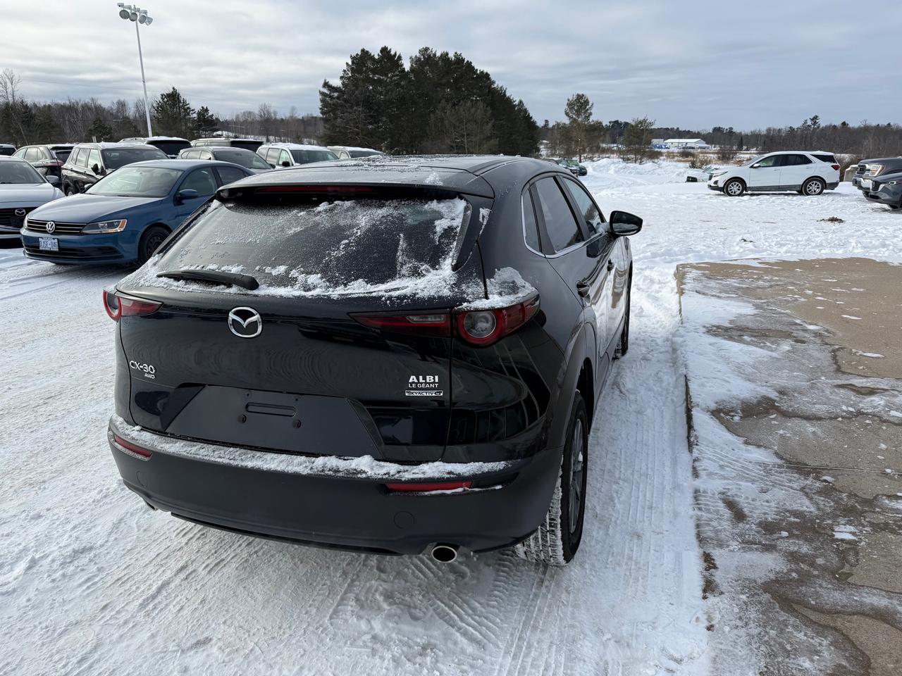 2020 Mazda CX-30 GX 4dr i-ACTIV All-Wheel Drive Sport Utility Photo