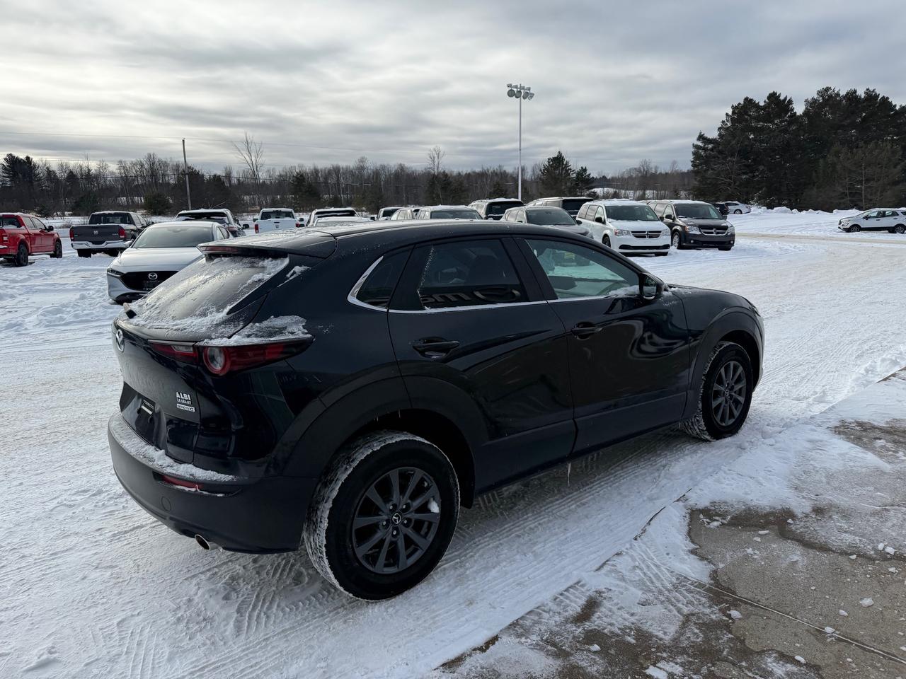 2020 Mazda CX-30 GX 4dr i-ACTIV All-Wheel Drive Sport Utility Photo