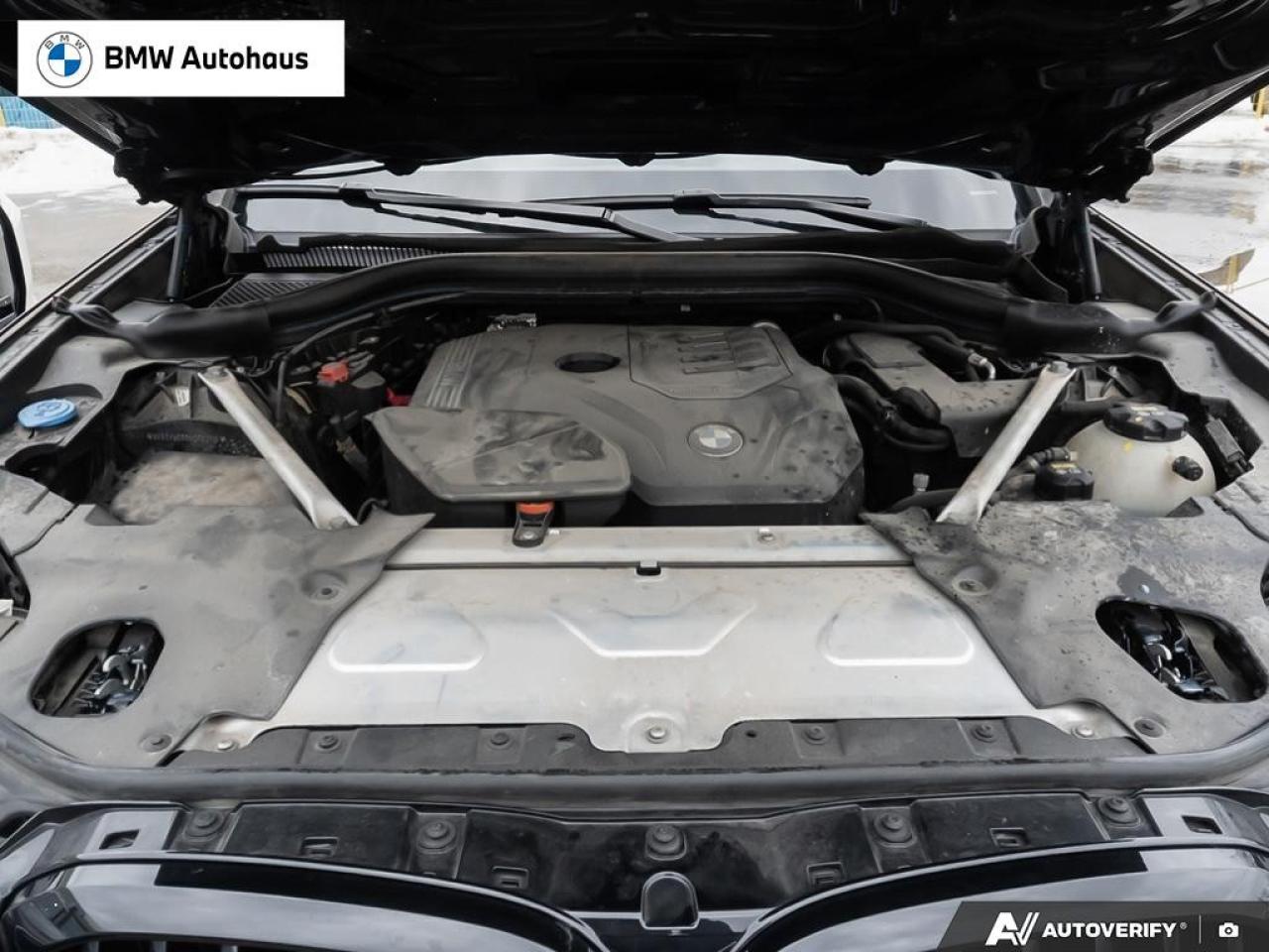 2021 BMW X3 xDrive30i Sports Activity Vehicle Photo