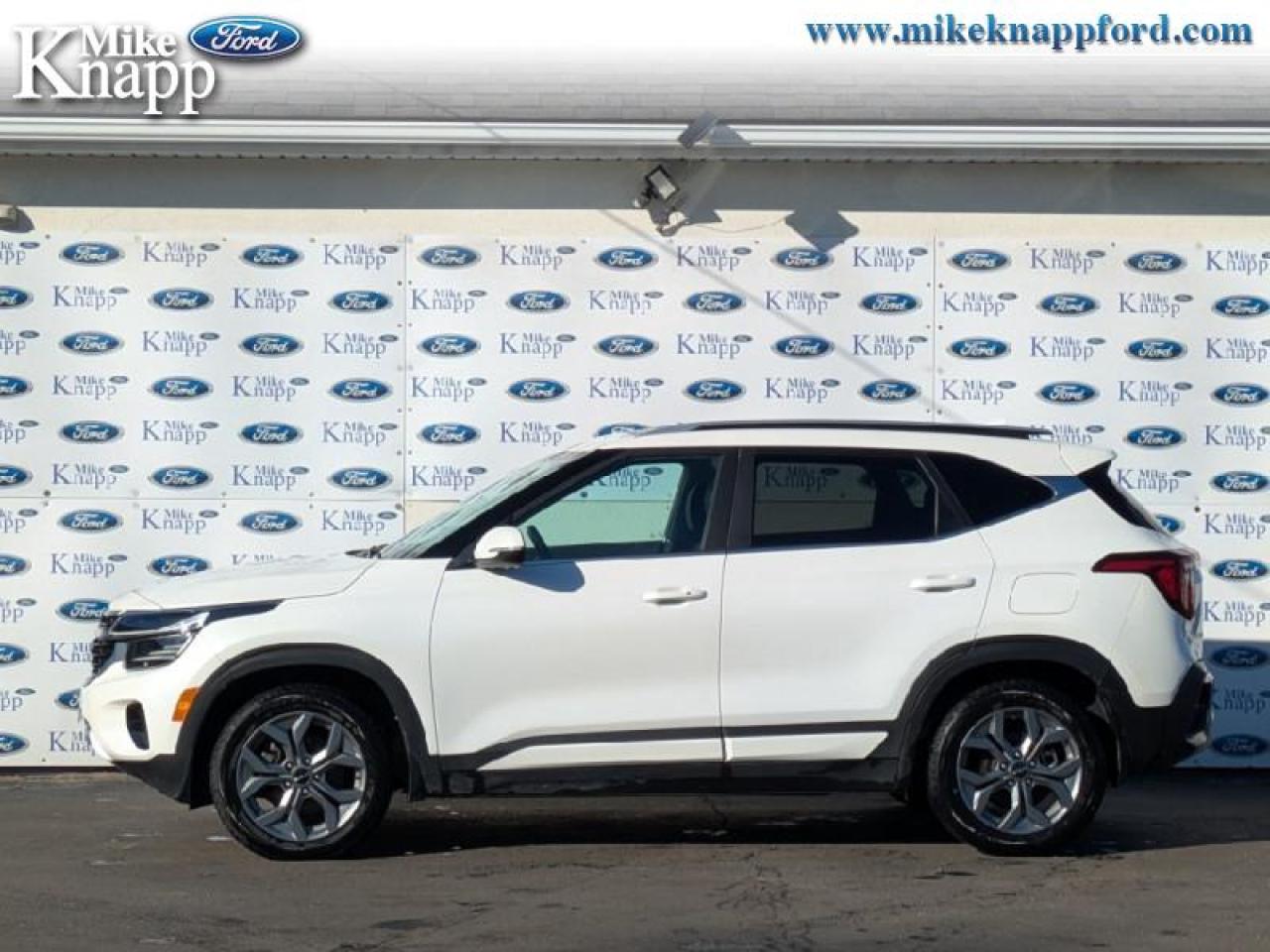 2024 Kia Seltos EX Photo