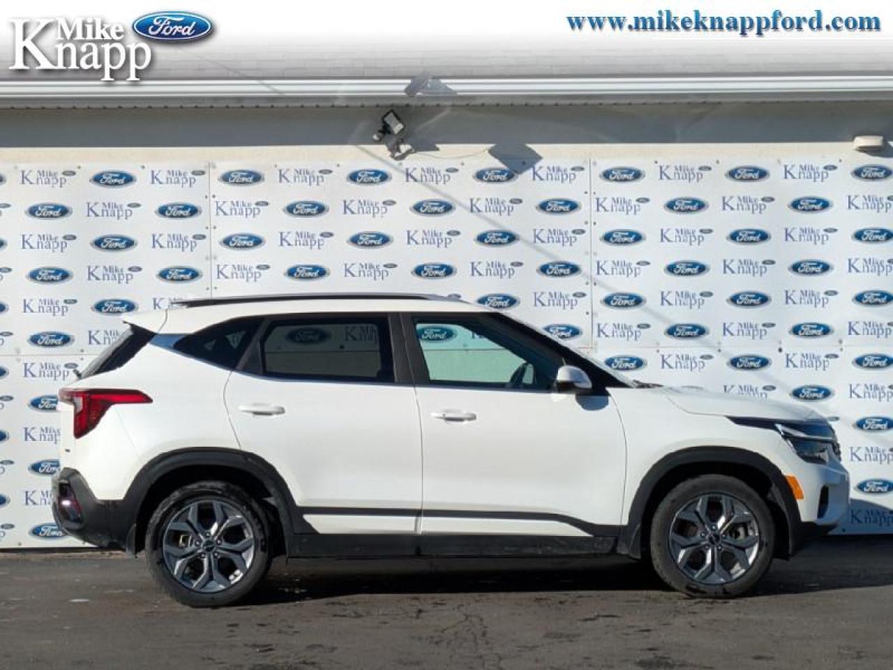 2024 Kia Seltos EX Photo