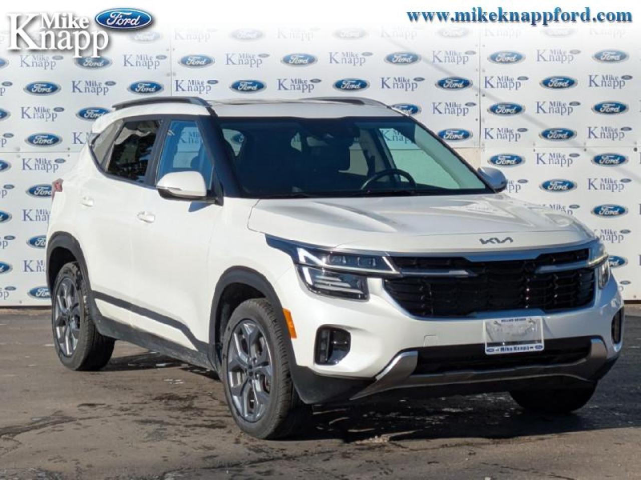 2024 Kia Seltos EX Photo