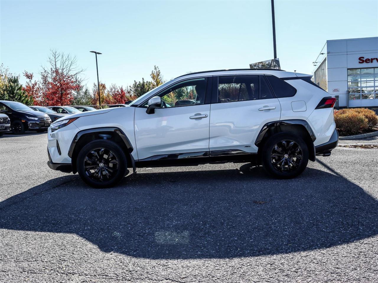 2022 Toyota RAV4 Hybrid SE 4dr All-Wheel Drive Photo