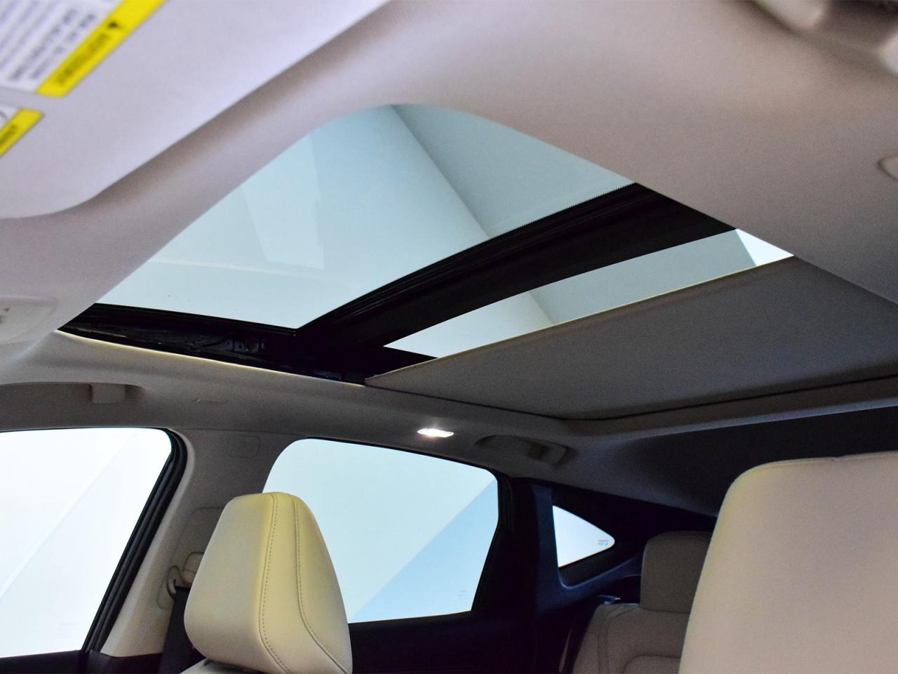 2025 Nissan Murano SL 4dr All-wheel Drive Photo