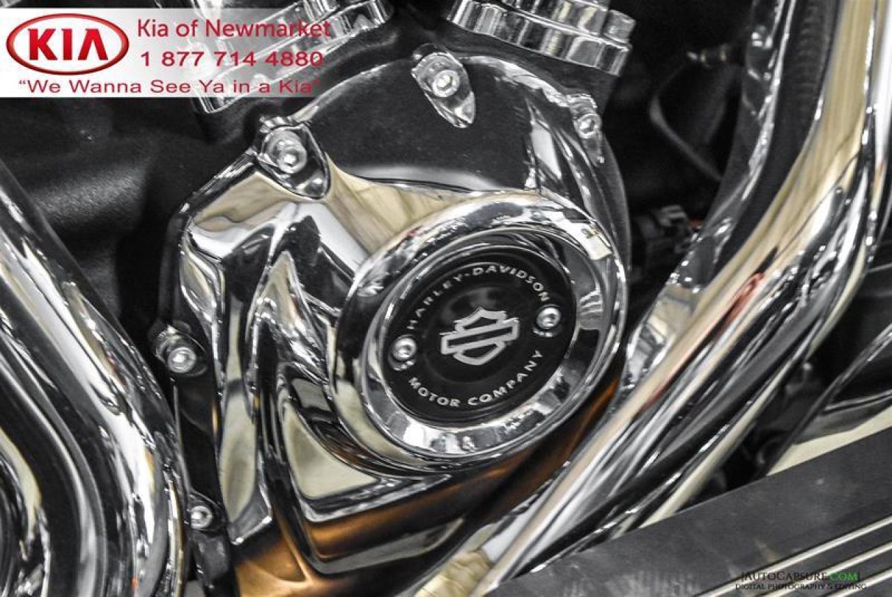 2017 Harley-Davidson Unlisted Item  Photo