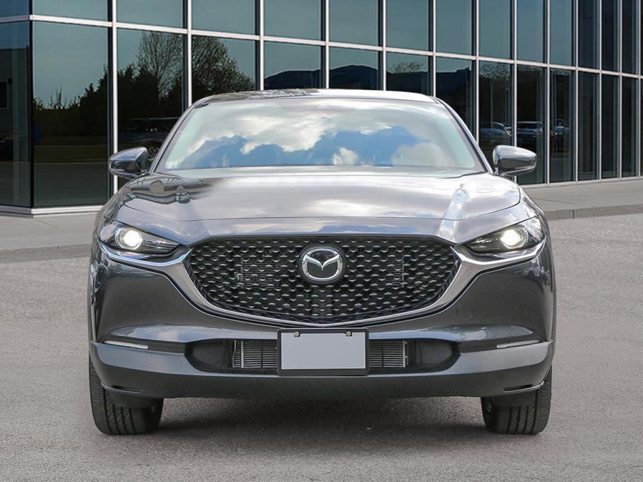 2025 Mazda CX-30 GS 4dr i-ACTIV All-Wheel Drive Sport Utility Photo