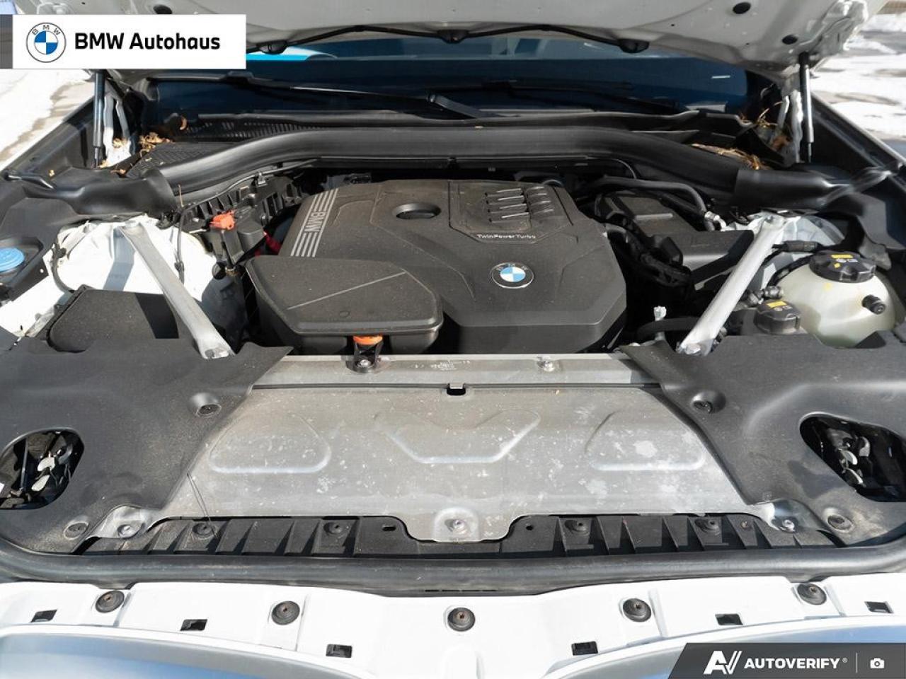 2023 BMW X3 xDrive30i Sports Activity Vehicle Photo