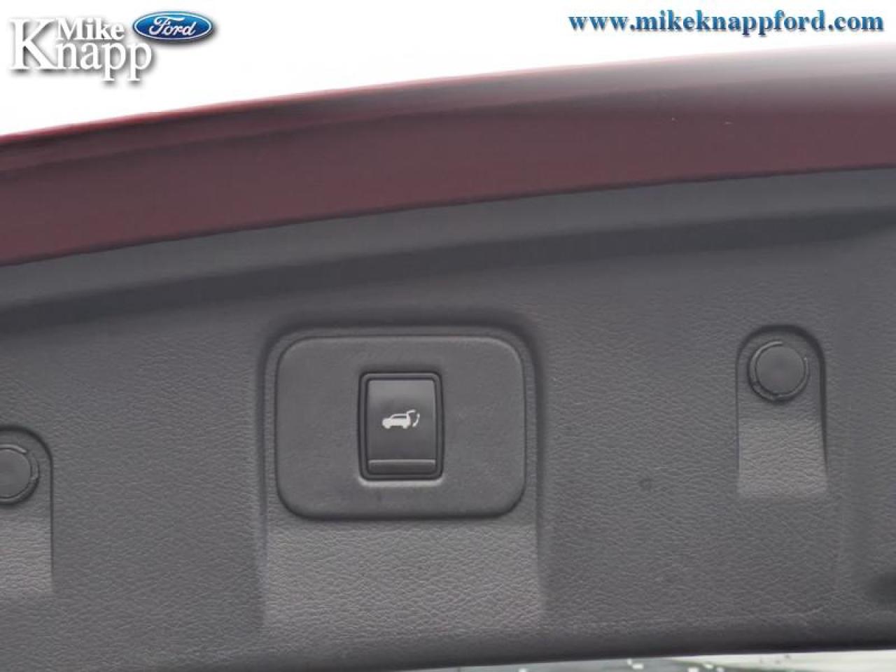 2020 Nissan Murano Platinum Photo