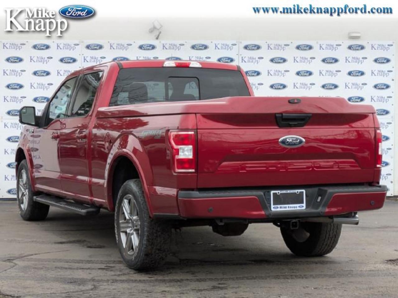 2019 Ford F-150 XLT Photo
