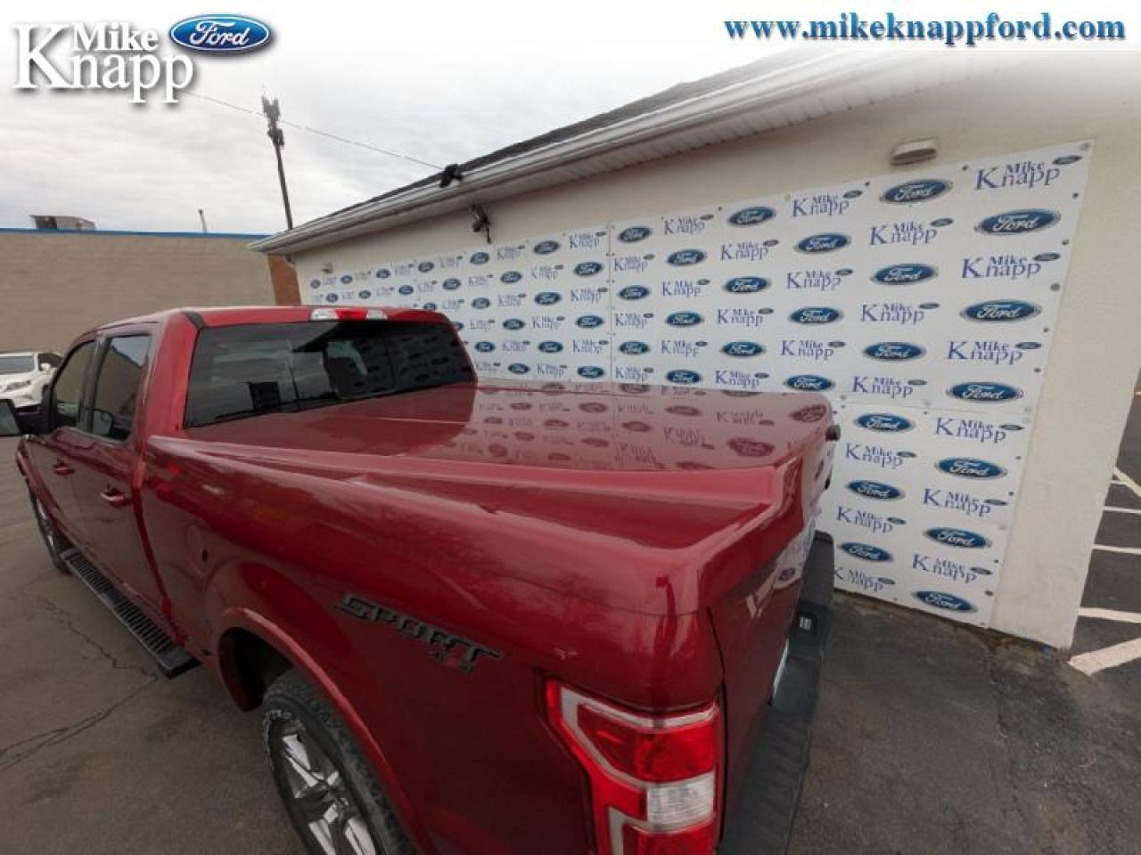 2019 Ford F-150 XLT Photo