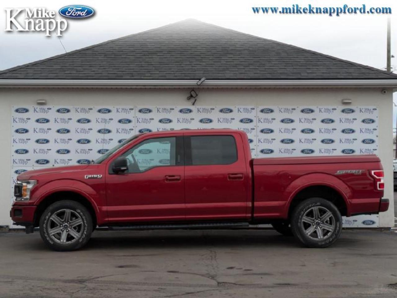 2019 Ford F-150 XLT Photo