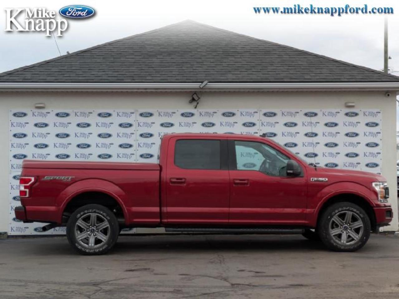 2019 Ford F-150 XLT Photo