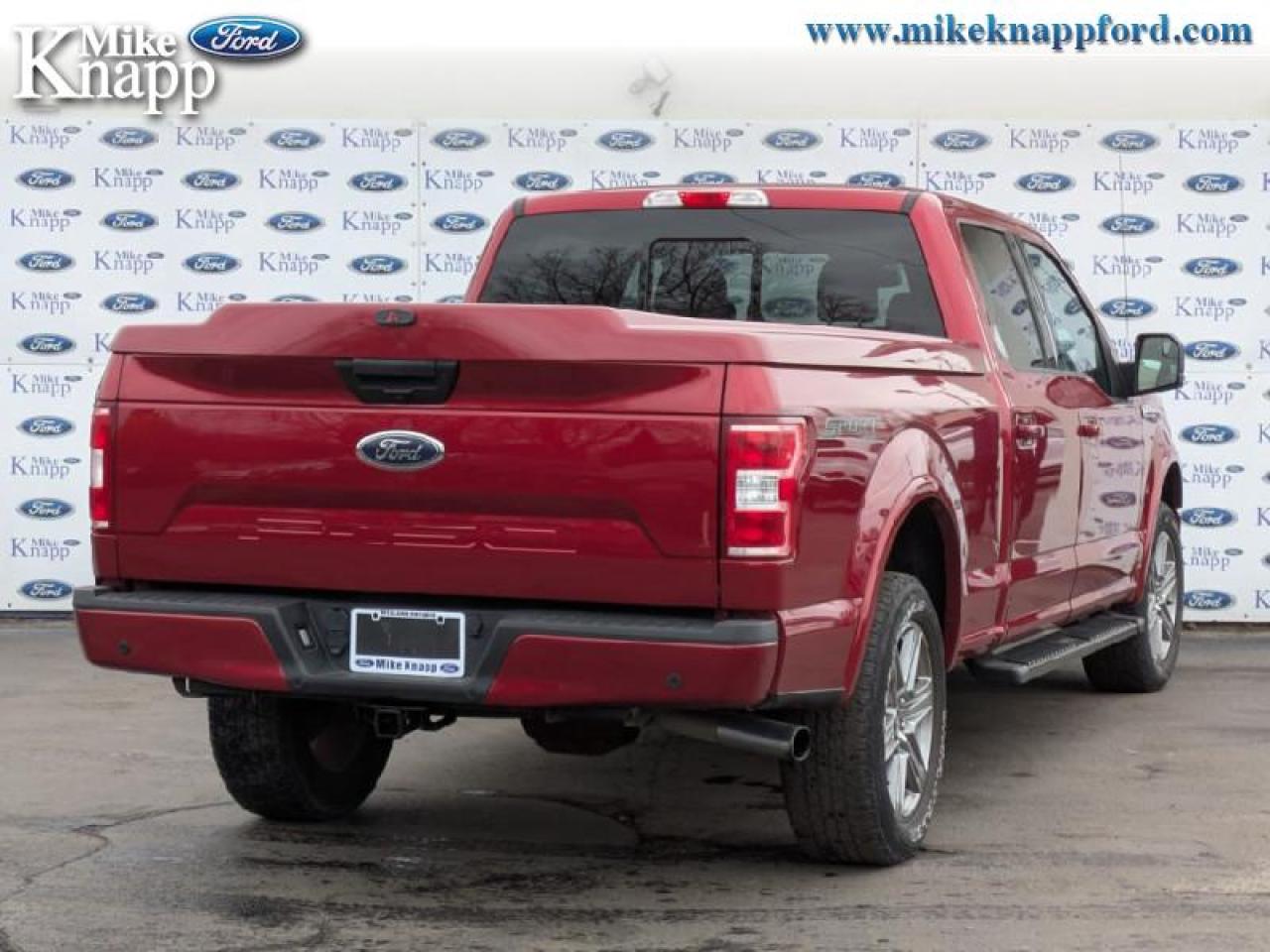 2019 Ford F-150 XLT Photo