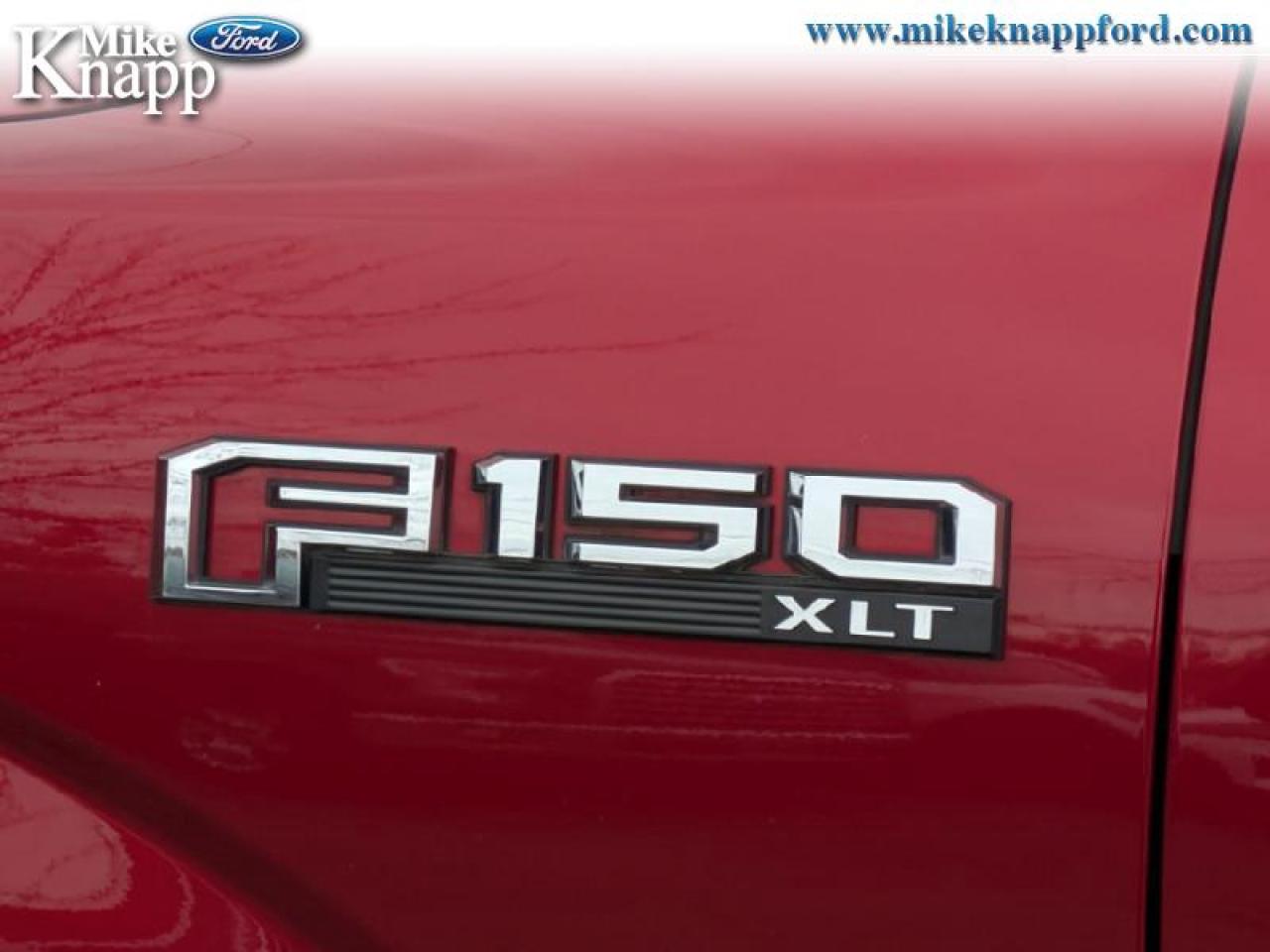 2019 Ford F-150 XLT Photo