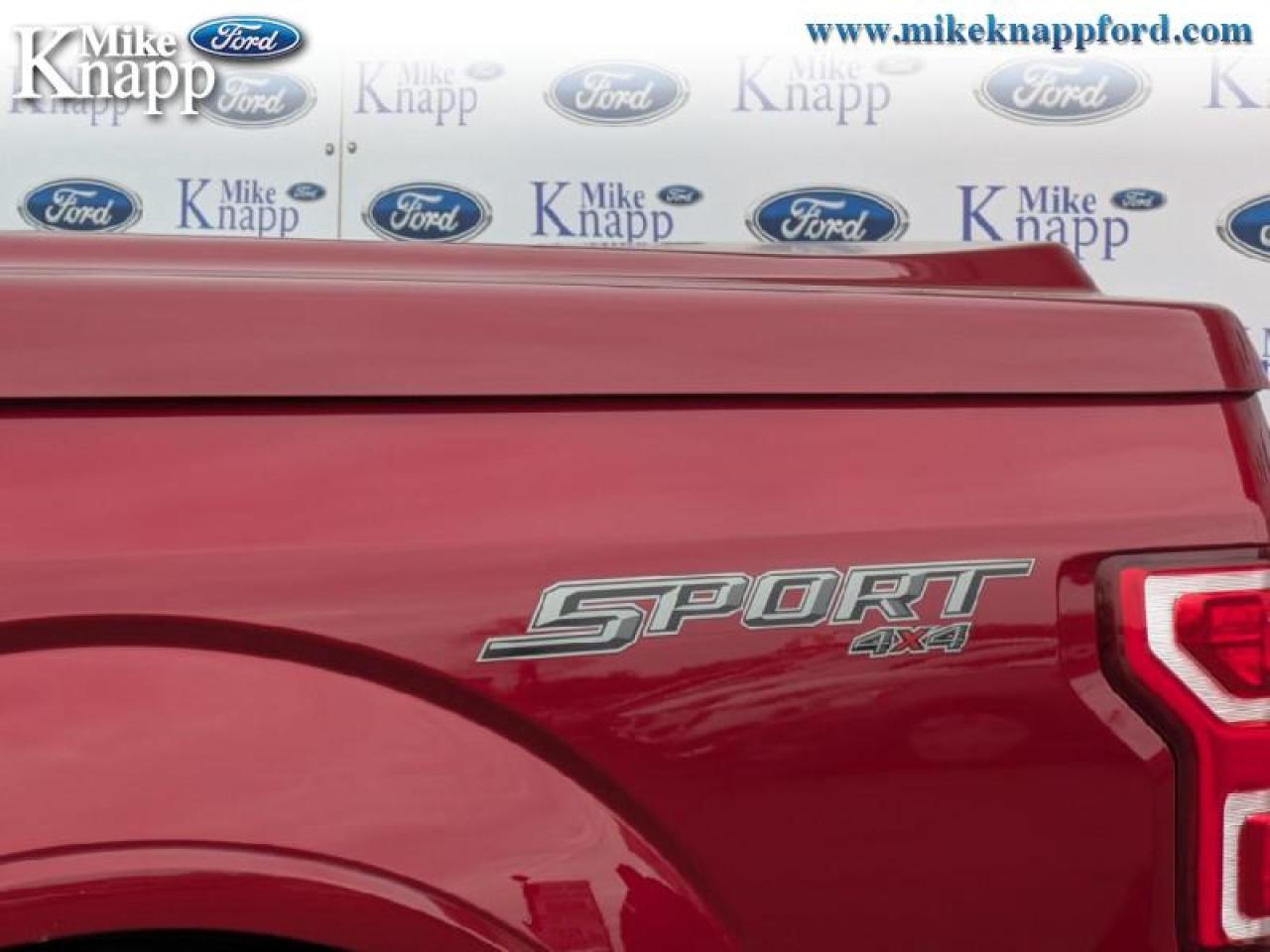 2019 Ford F-150 XLT Photo