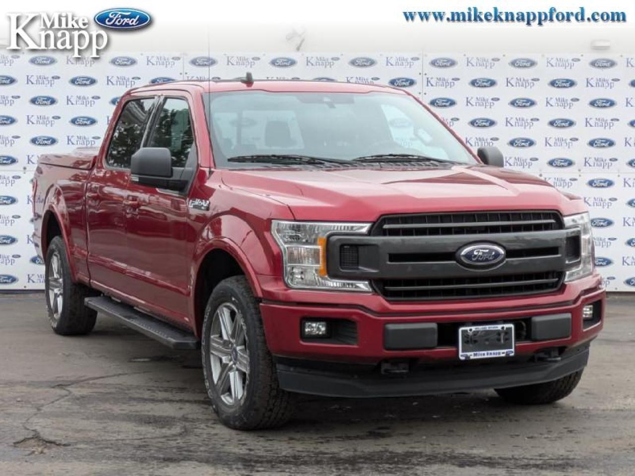 2019 Ford F-150 XLT Photo