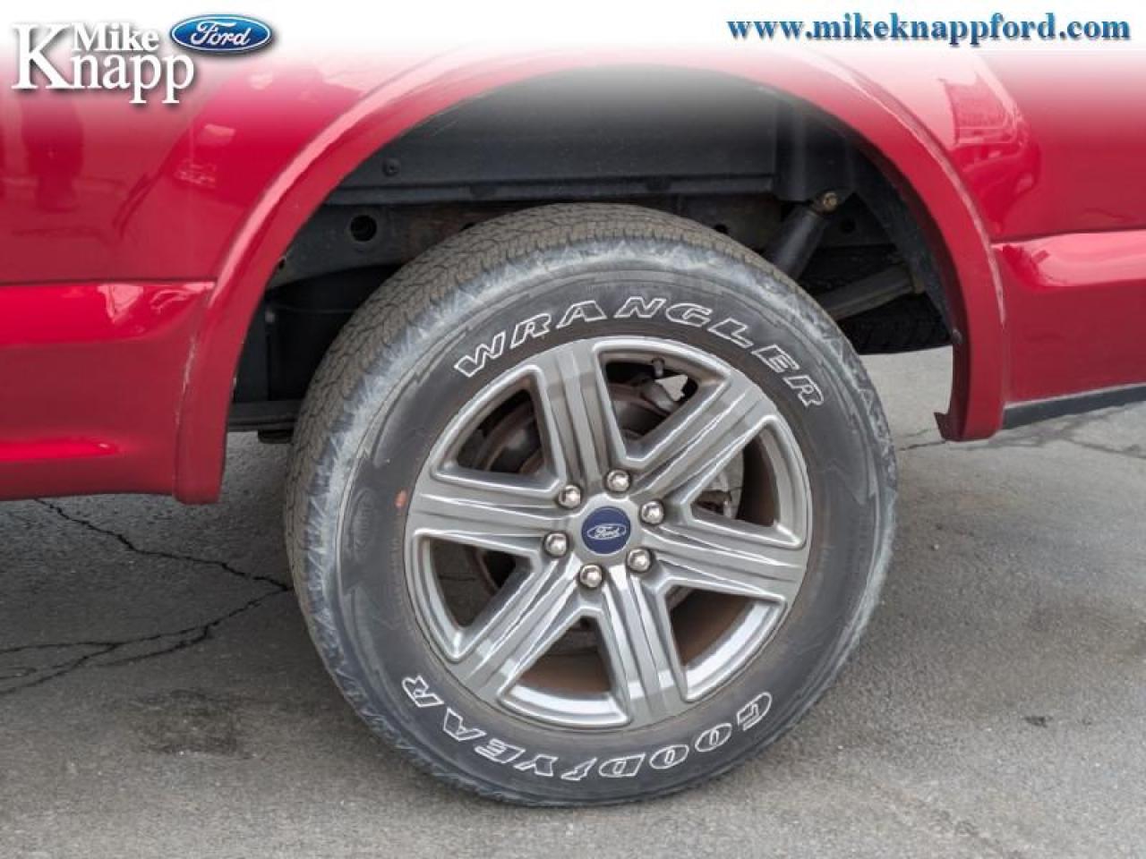 2019 Ford F-150 XLT Photo