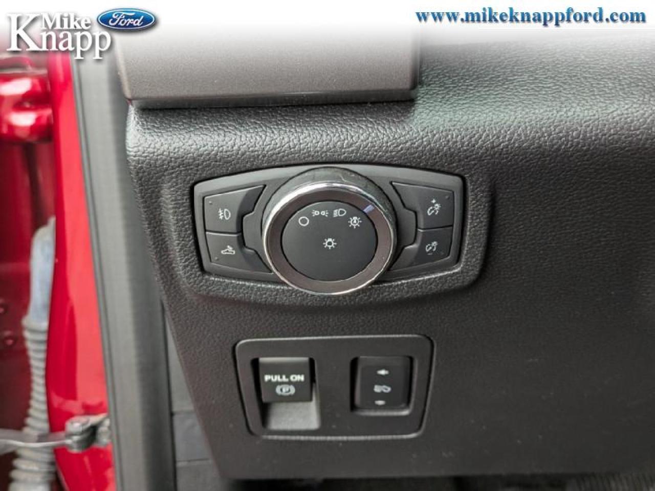 2019 Ford F-150 XLT Photo