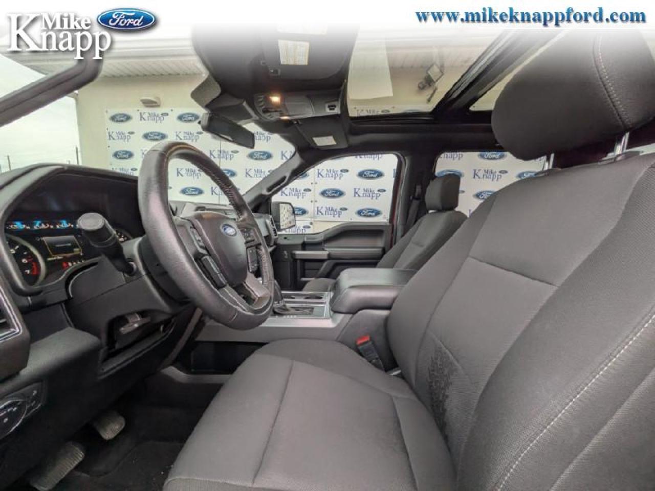 2019 Ford F-150 XLT Photo