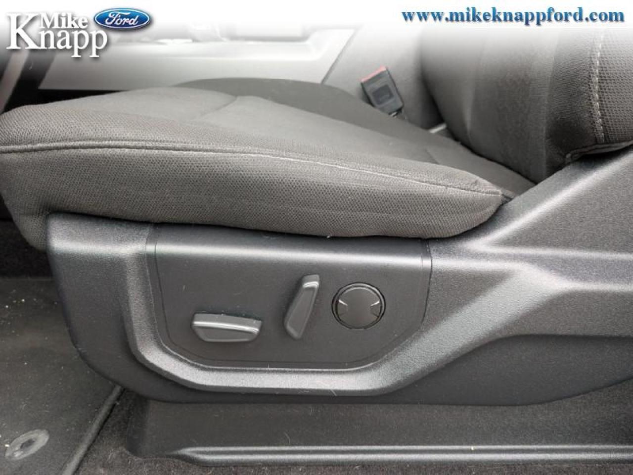 2019 Ford F-150 XLT Photo