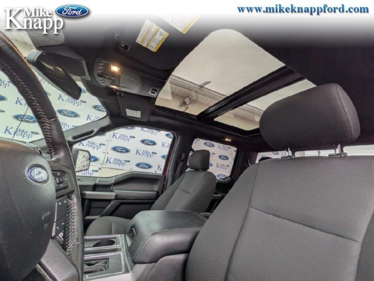 2019 Ford F-150 XLT Photo