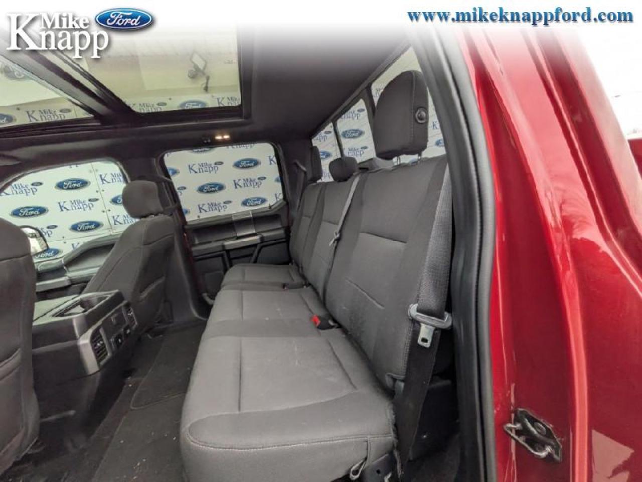 2019 Ford F-150 XLT Photo