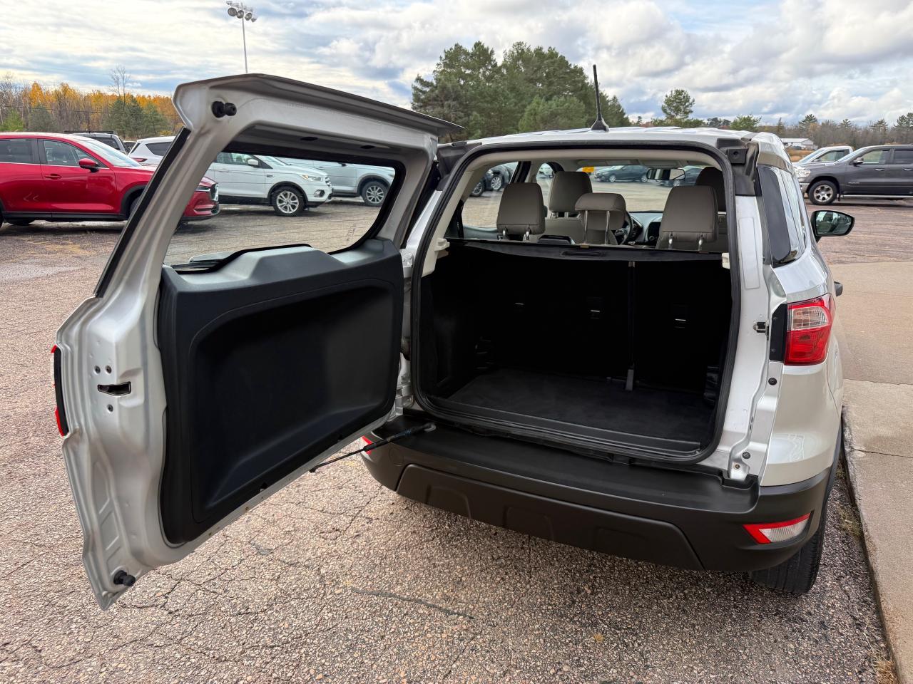 2018 Ford EcoSport S 4x4 Sport Utility Photo