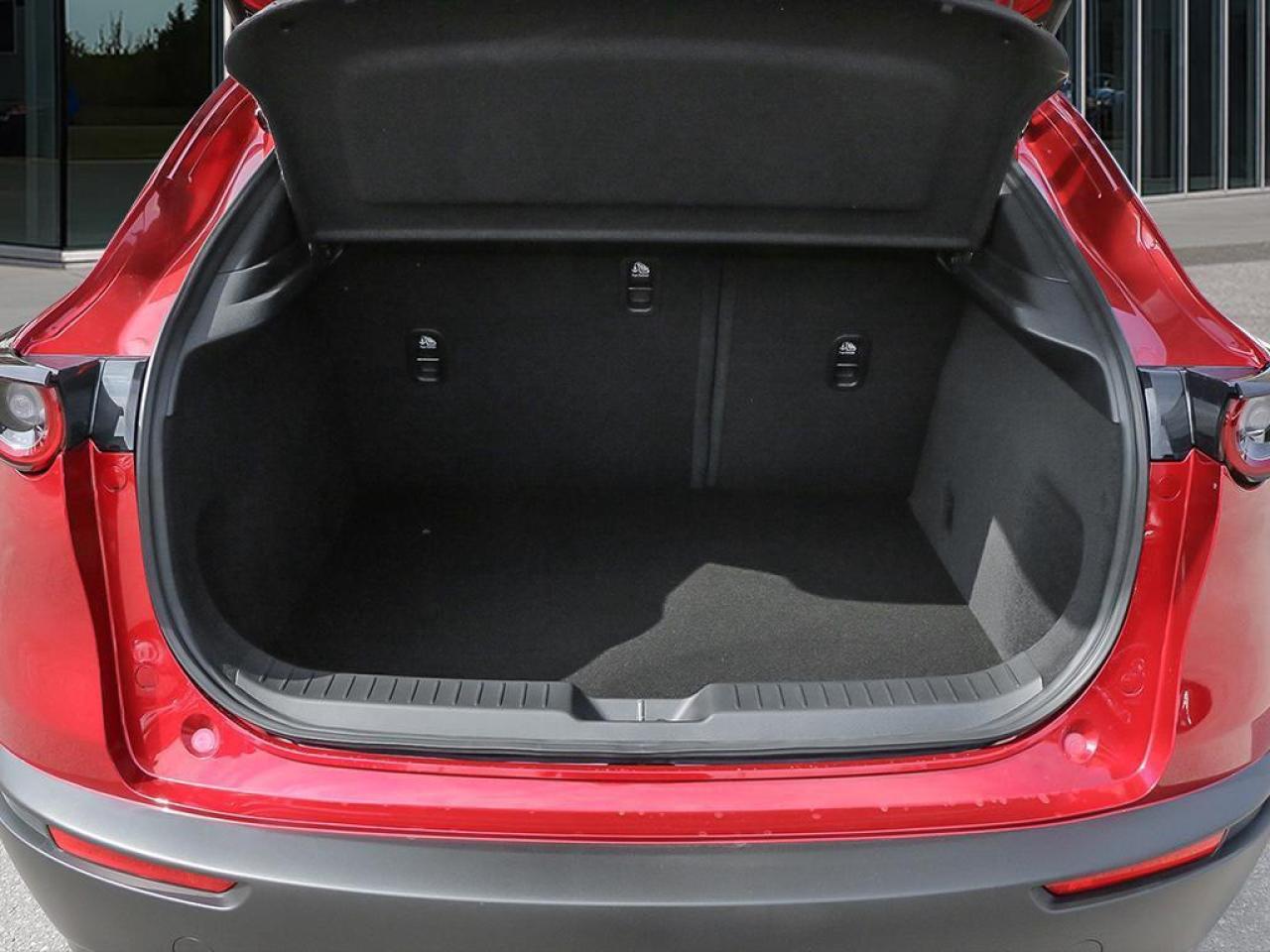 2025 Mazda CX-30 GS 4dr i-ACTIV All-Wheel Drive Sport Utility Photo