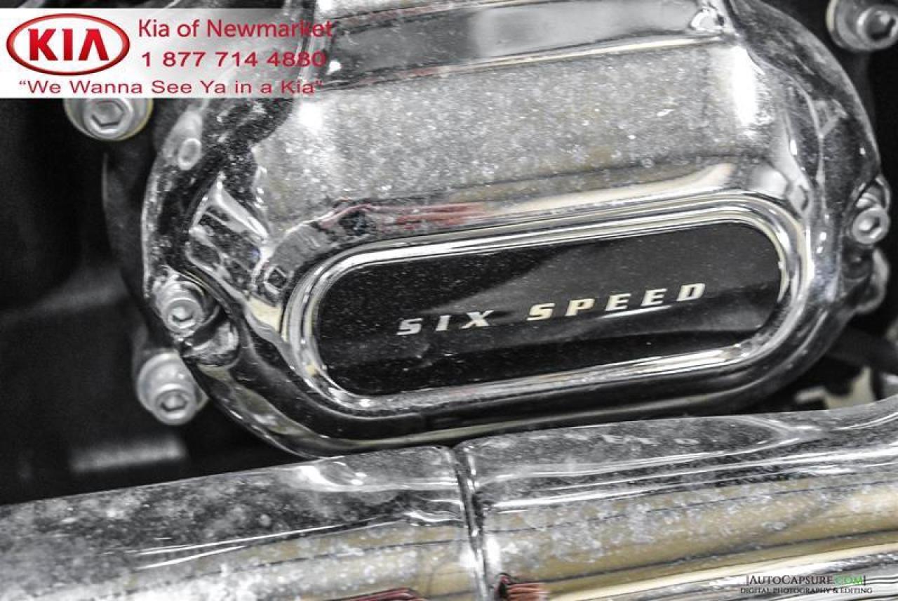 2019 Harley-Davidson Unlisted Item  Photo